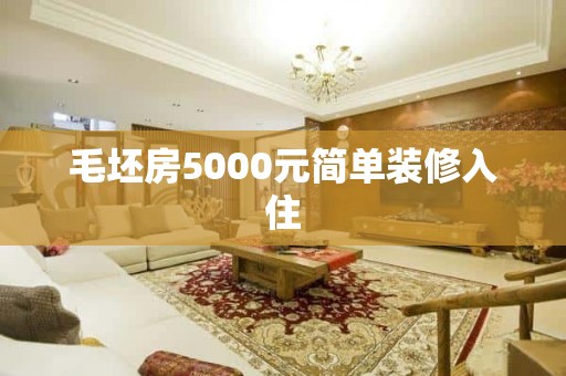 毛坯房5000元简单装修入住