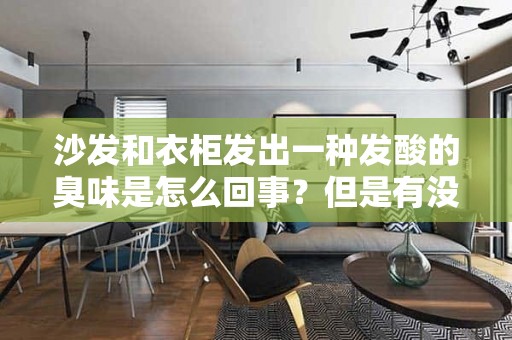 沙发和衣柜发出一种发酸的臭味是怎么回事？但是有没有脏东西？