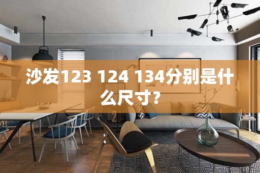 沙发123 124 134分别是什么尺寸？